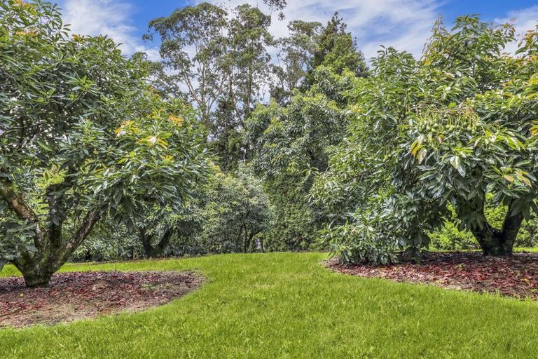 Photo of property in 21 Plummer Road, Whakamarama, Tauranga, 3179