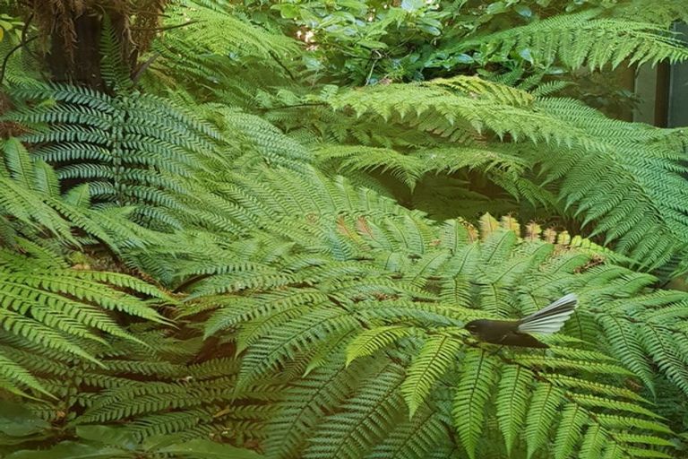 Photo of property in 44 Marama Avenue North, Otatara, Invercargill, 9879