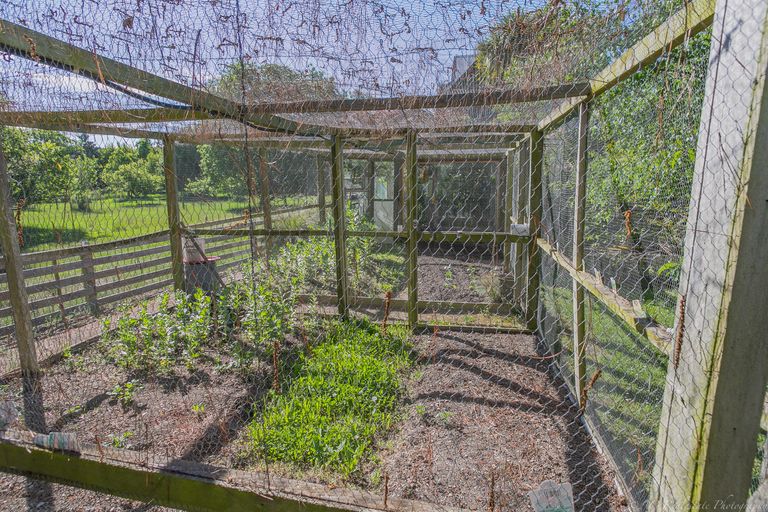 Photo of property in 13 Philip Street, Cave, 7984