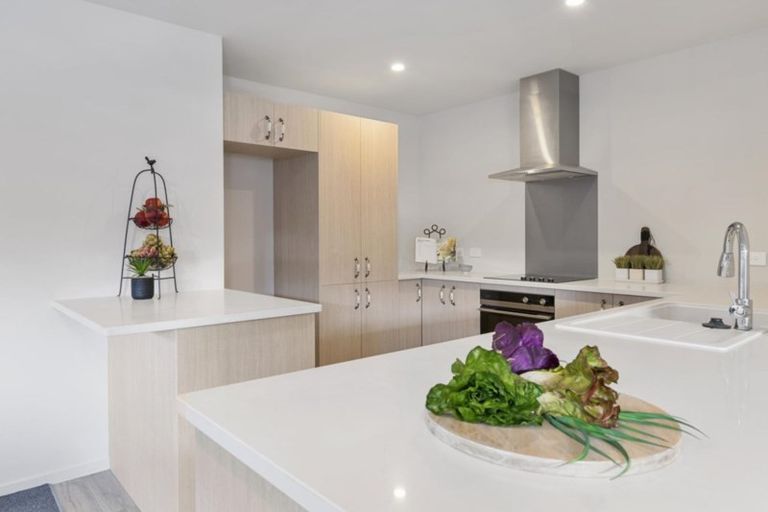 Photo of property in 123c Pyes Pa Road, Pyes Pa, Tauranga, 3112