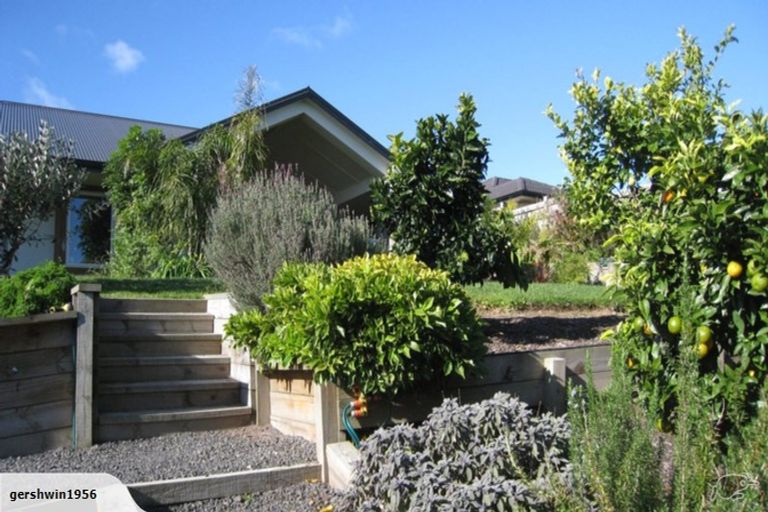 Photo of property in 197 Rowesdale Drive, Ohauiti, Tauranga, 3112