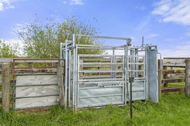 Photo of property in 672 Jary Road, Ohaupo, Cambridge, 3495