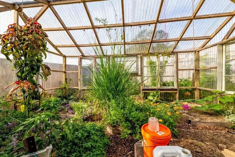 Photo of property in 126 Miranda Street, Stratford, 4332