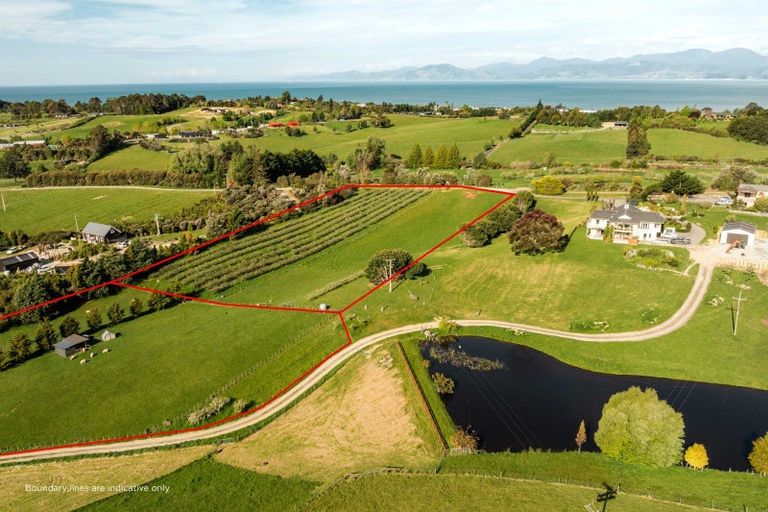 Photo of property in 43 Foley Road, Tasman, Upper Moutere, 7173
