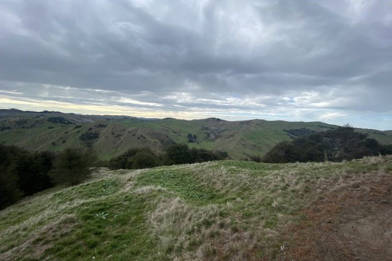 Photo of property in 1247 Wharekopae Road, Ngatapa, Gisborne, 4072