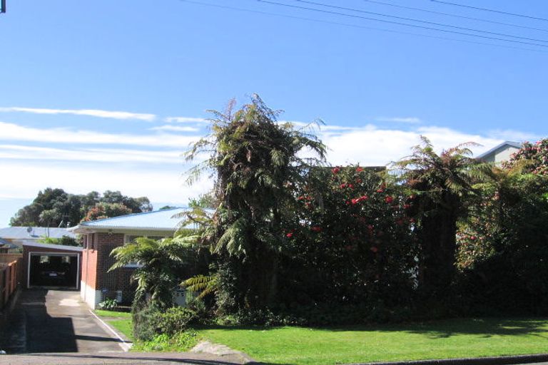 Photo of property in 55 Clarke Street, Gate Pa, Tauranga, 3112