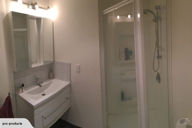 Photo of property in The Plumbers Building, 1a/124 Wakefield Street, Te Aro, Wellington, 6011