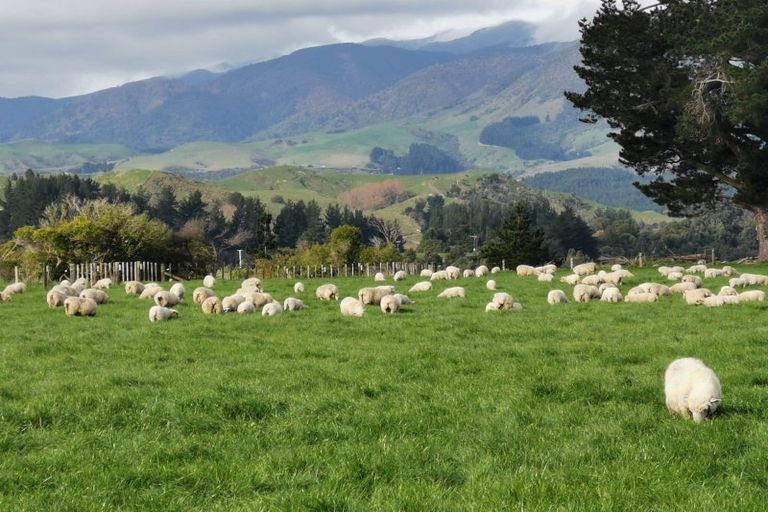 Photo of property in 1 Takapari Road, Pohangina, Ashhurst, 4884