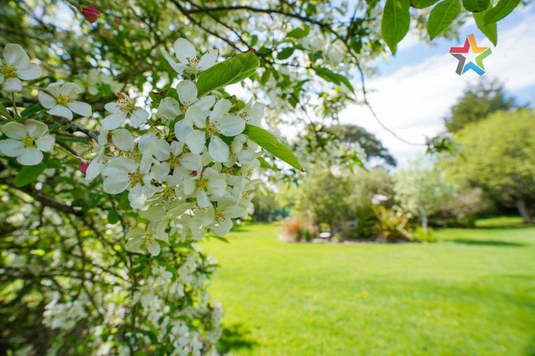 Photo of property in 73 Black Road, Otatara, Invercargill, 9879
