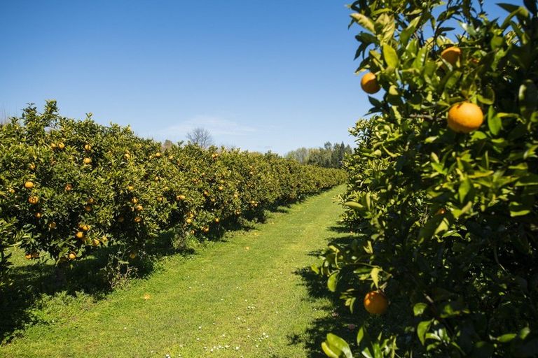 Photo of property in 1286 Matawai Road, Ormond, Gisborne, 4071