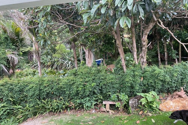 Photo of property in 200 Ti Point Road, Ti Point, Warkworth, 0985