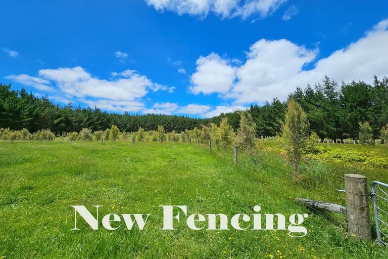 Photo of property in 1296 Wekaweka Road, Waimamaku, Kaikohe, 0473