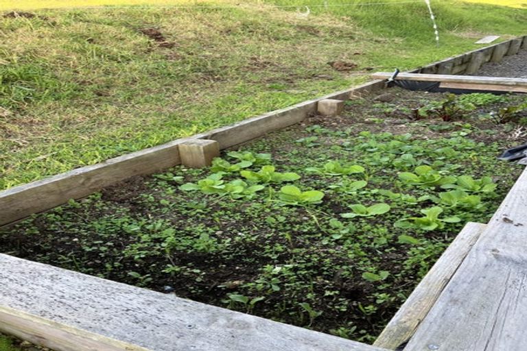 Photo of property in 109 Mimiha Ridge Road, Matata, Whakatane, 3194