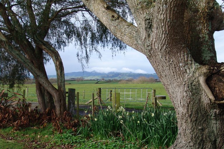 Photo of property in 11 Rangiaowhia Road, Te Awamutu, 3879