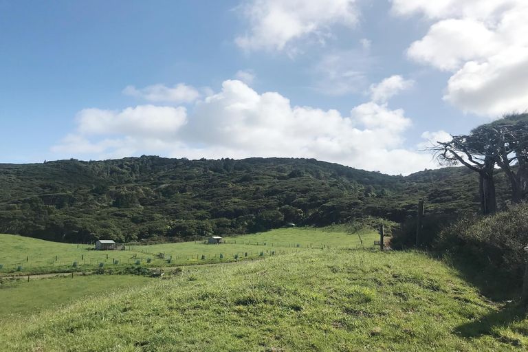 Photo of property in 1809 Whaanga Road, Raglan, 3296