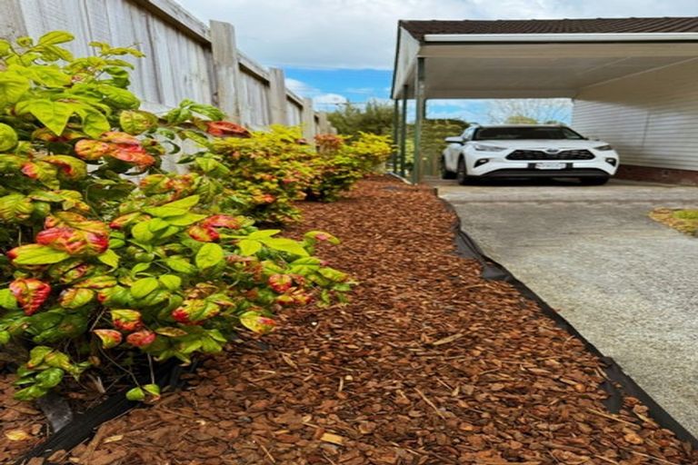 Photo of property in 161 Verbena Road, Birkdale, Auckland, 0626