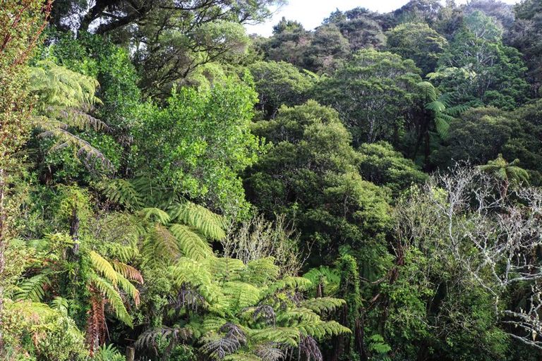 Photo of property in 206 Nelson Road, Hukerenui, Hikurangi, 0182