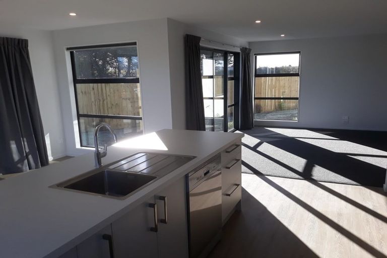 Photo of property in 41 William Nicholls Drive, Belfast, Christchurch, 8051