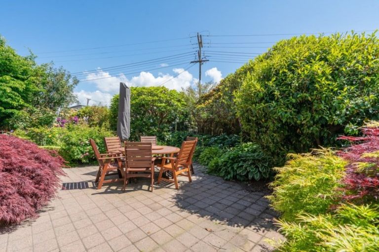 Photo of property in 45 Tui Street, Taupo, 3330