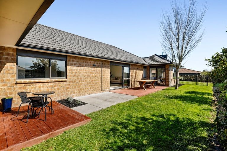 Photo of property in 7 Amberley Place, Flagstaff, Hamilton, 3210