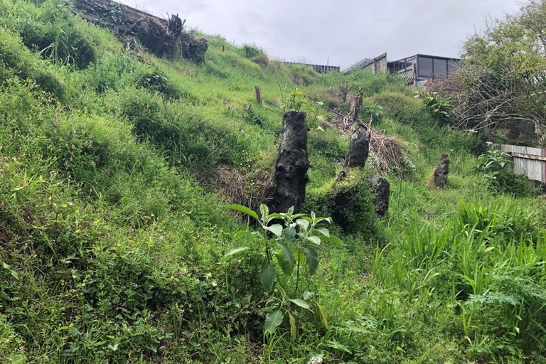 Photo of property in 466a Carrington Street, Upper Vogeltown, New Plymouth, 4310