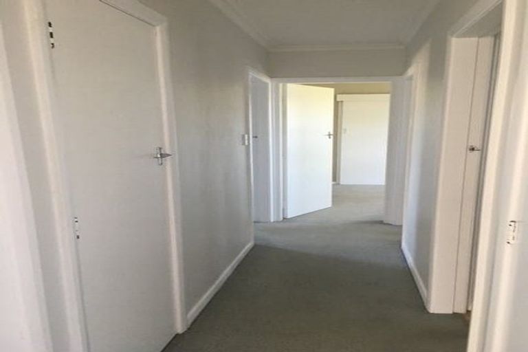 Photo of property in 46 Kennedy Drive, Levin, 5510