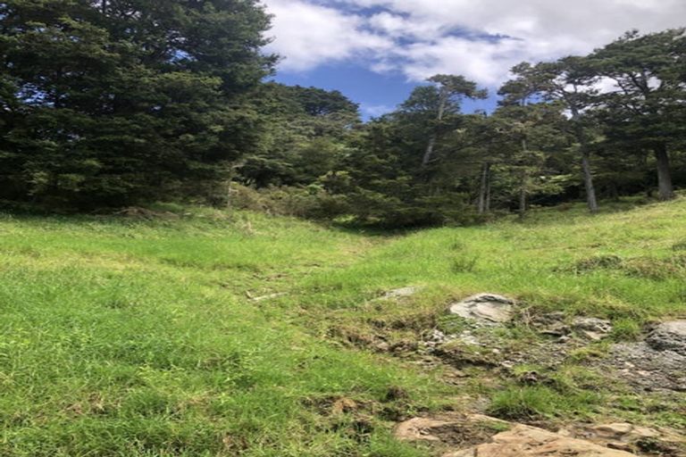 Photo of property in 725 Golden Stairs Road, Mareretu, Maungaturoto, 0589