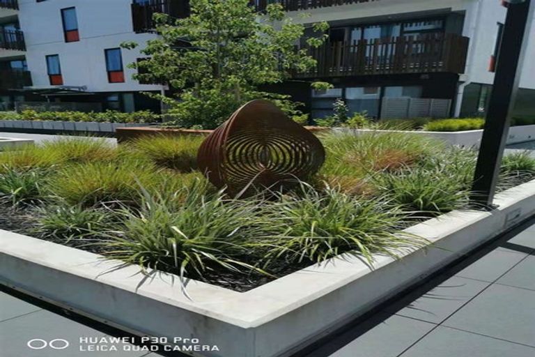 Photo of property in 204/22 Library Lane, Albany, Auckland, 0632