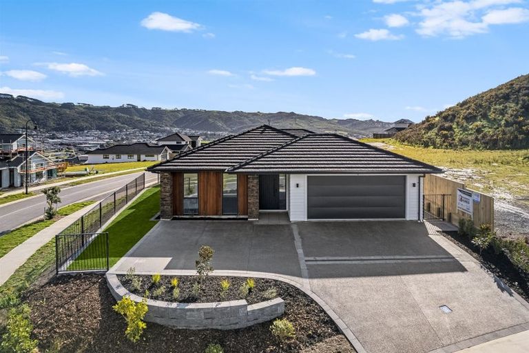 Photo of property in 189 John Burke Drive, Aotea, Porirua, 5024