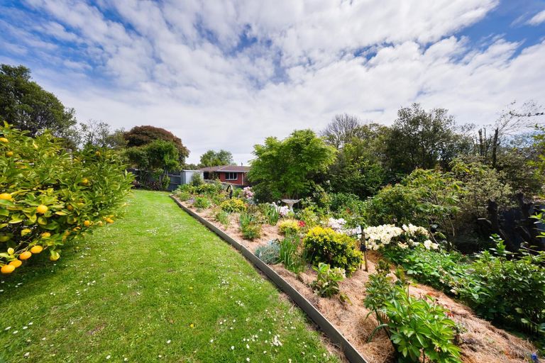 Photo of property in 31 Andrew Street, Marchwiel, Timaru, 7910