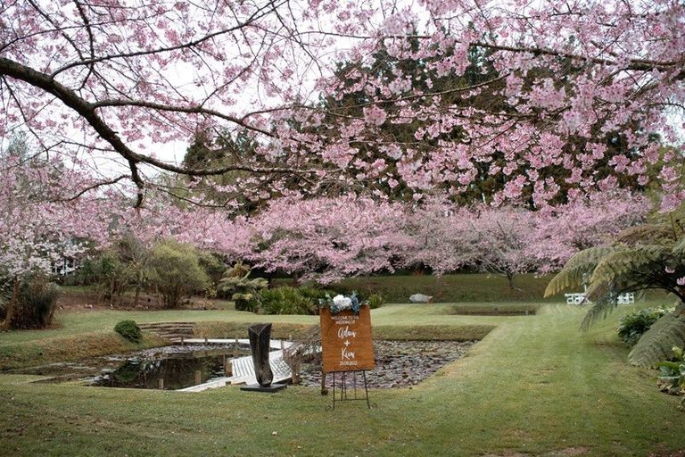 Photo of property in 441 Pukekauri Road, Waihi, 3682