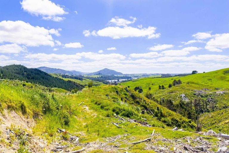 Photo of property in 128 Kamea Place, Maungaturoto, 0587