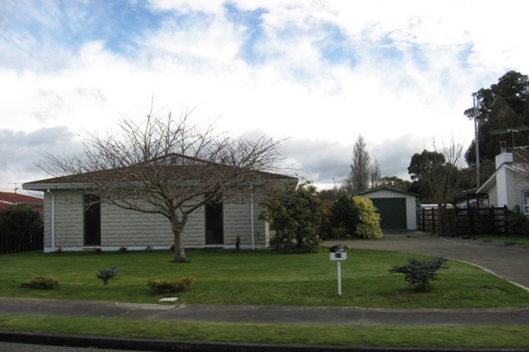 Photo of property in 17 Takahe Street, Masterton, 5810