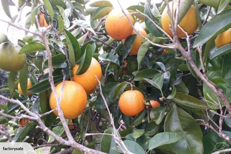 Photo of property in 122 Pah Road, Cockle Bay, Auckland, 2014