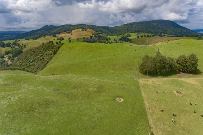 Photo of property in 96 Te Miri Road, Ngongotaha Valley, Rotorua, 3072