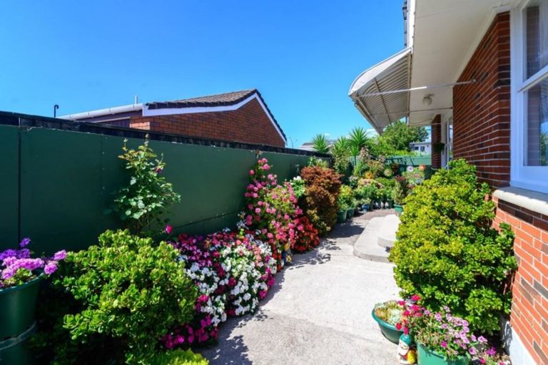Photo of property in 24a Toko Street, Victoria, Rotorua, 3010