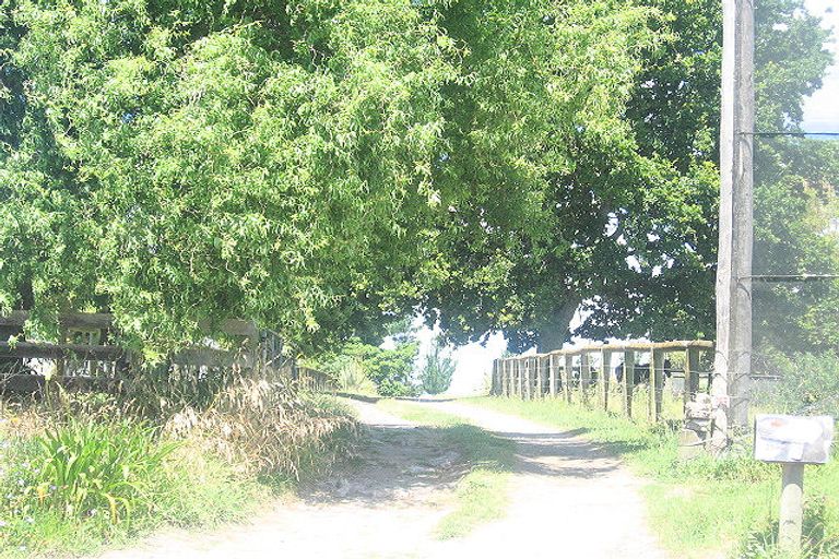 Photo of property in 259 No 1 Road, Te Puke, 3182