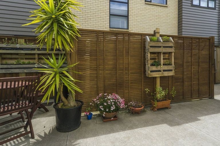 Photo of property in 41 Liquidambar Drive, Hobsonville, Auckland, 0616