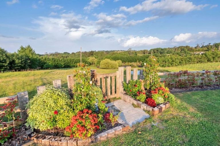 Photo of property in 91 Grace Hill Drive, Dairy Flat, Albany, 0792