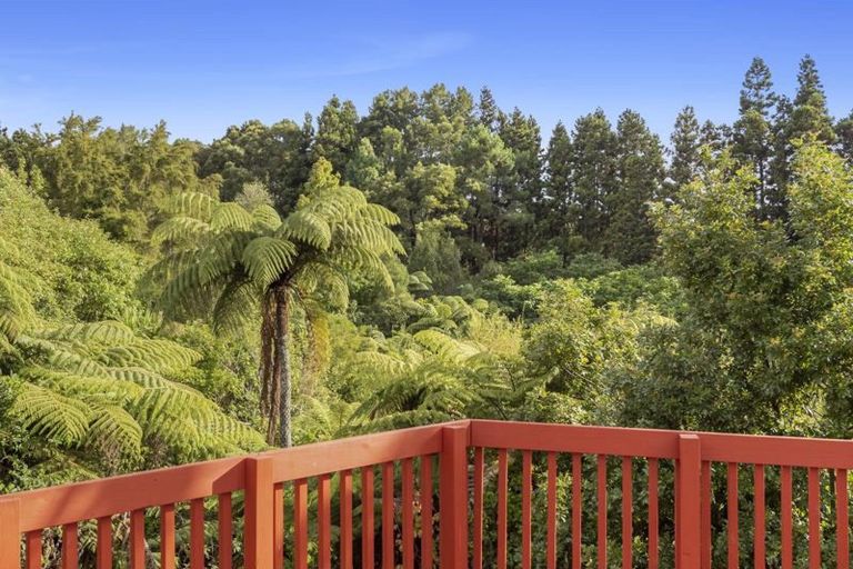 Photo of property in 45 Winstone Avenue, Chartwell, Hamilton, 3210