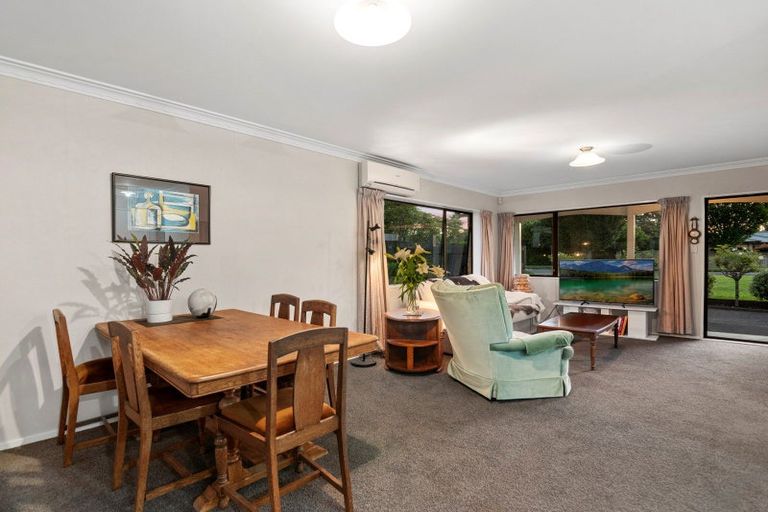 Photo of property in 55b Sixteenth Avenue, Tauranga South, Tauranga, 3112