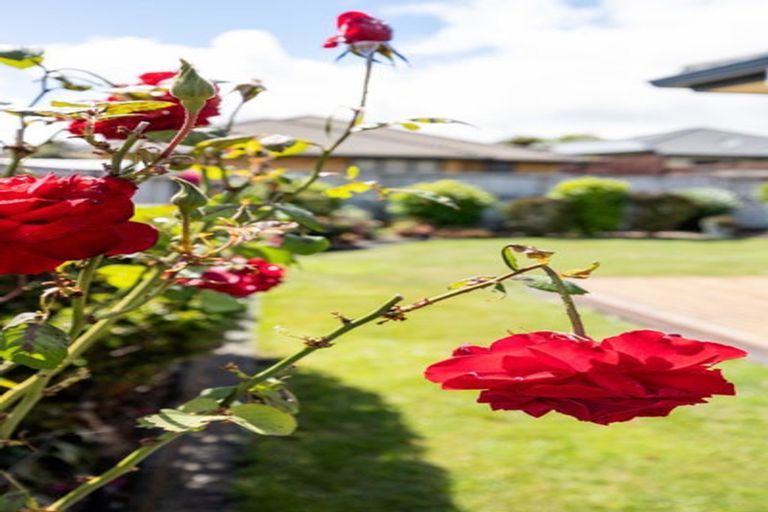 Photo of property in 36 Alconbury Drive, Rototuna North, Hamilton, 3210