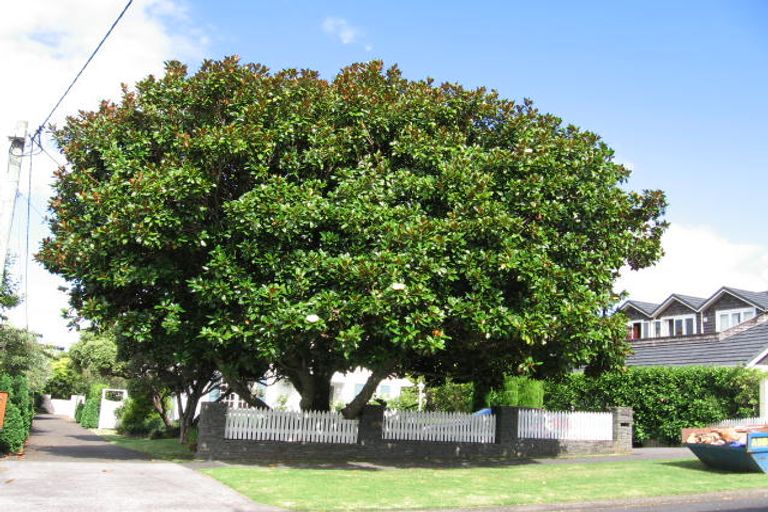 Photo of property in 1/33 Saltburn Road, Milford, Auckland, 0620