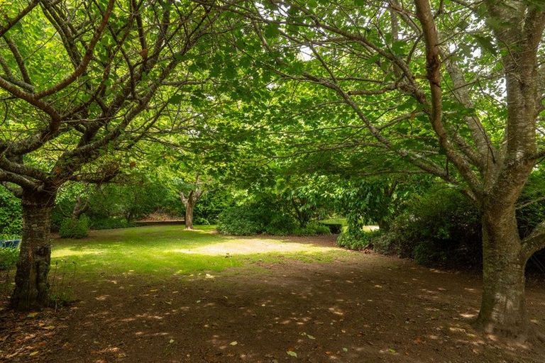 Photo of property in 116 Tuapiro Road, Tahawai, Katikati, 3170