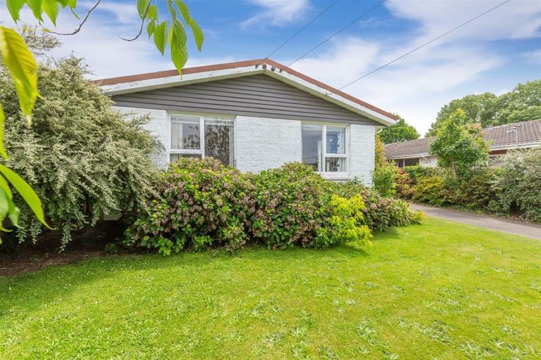 Photo of property in 99 Farrington Avenue, Bishopdale, Christchurch, 8053