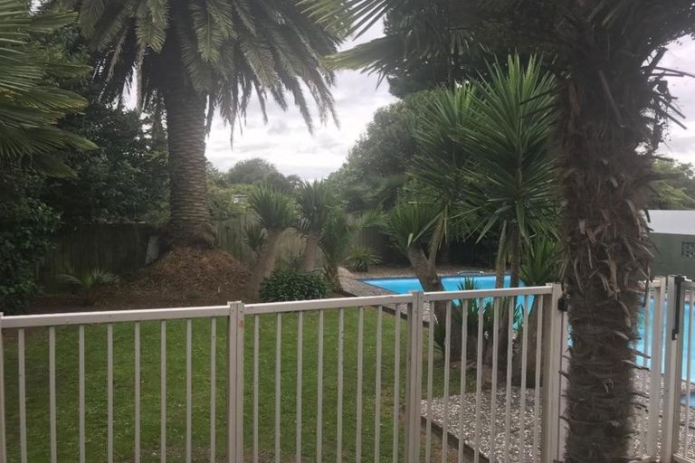 Photo of property in 44 Tomin Road, Glenview, Hamilton, 3206