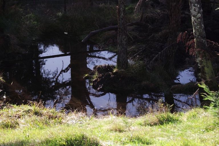 Photo of property in 100 Bulltown Road, Waihi, 3610