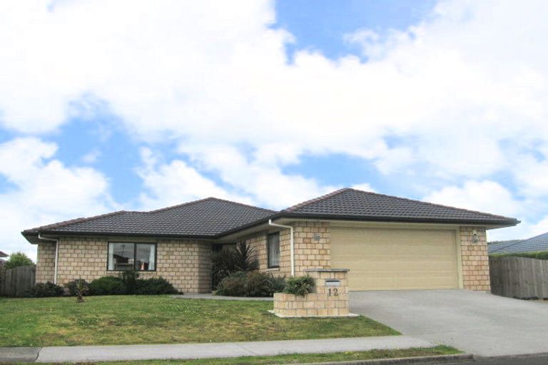 Photo of property in 12 Sunset Drive, Pukekohe, 2120