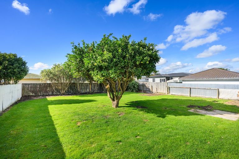 Photo of property in 33 Manchester Street, Takaro, Palmerston North, 4412