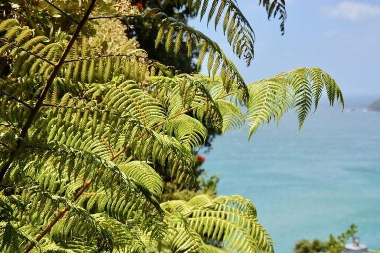 Photo of property in 14 Pacific Drive, Tairua, 3508